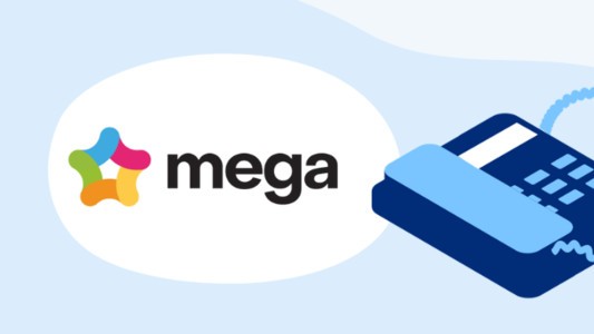 mega banner