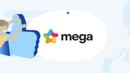 Mega review