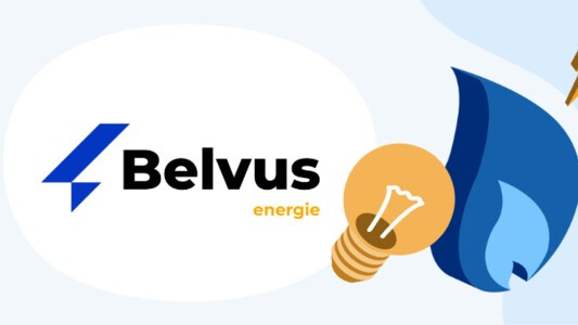 belvus contact