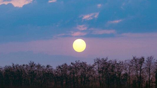 Volle maan