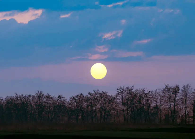 Volle maan